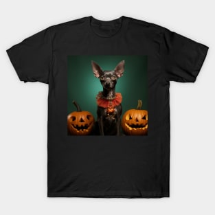 Mexican Hairless Dog Halloween T-Shirt